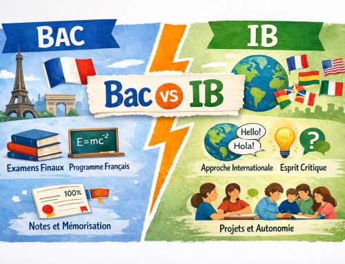 IB ou Bac français à Londres : quel choix pour votre enfant ?